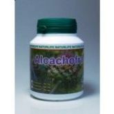 ALCACHOFRA