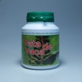 PATA DE VACA