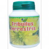 tribullos terrestre